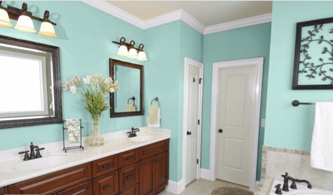 Sherwin Williams - Tame Teal Best Paint For Bathroom, Bathroom Wall Colors, Painting Bathroom Cabinets, Simple Bathroom Remodel, Beige Paint, Bathroom Paint Colors, Shabby Chic Bathroom, Paint Projects, Simple Bathroom