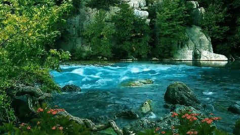 Gif Landscape Art, Beautiful Scenery Gif, Gif Landscape Background, Nature Wallpaper For Desktop, Inuyasha Aesthetic, Beomgyu Gif, Nature Gifs, Summer Gif, World Gif