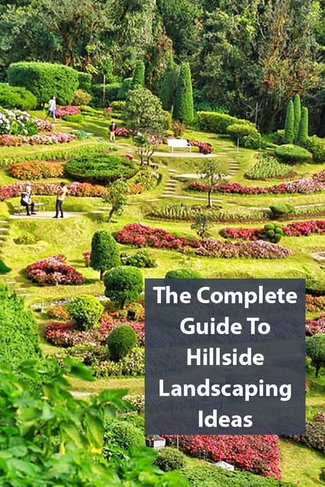 Steep Hill Landscaping, Hillside Landscaping Ideas, Steep Hillside Landscaping, Steep Backyard, Backyard Hill Landscaping, Steep Gardens, Sloped Backyard Landscaping, Terraced Landscaping, Landscaping A Slope