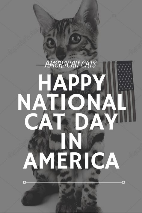 Happy National Cat Day all over the United States. 29 October, National Cat Day, World Days, Content Ideas, Happy Cat, Cat Day, The United States, United States, Thing 1