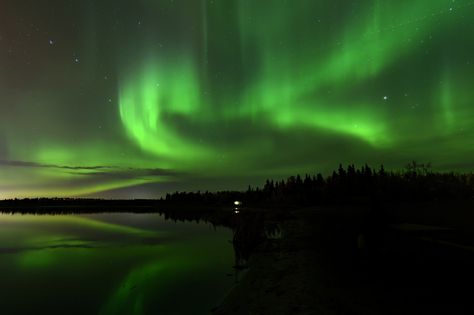 Northern Lights above Astotin Lake, Elk Island National Park Elk Island National Park, My Year, Canada Travel, Elk, The Good Place, Northern Lights, National Park, Global Community, Road Trip