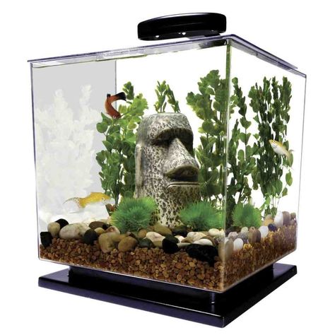 Funny Aquarium Decorations 3 Gallon Fish Tank, Cube Aquarium, Desktop Aquarium, Small Fish Tanks, Betta Aquarium, Mini Aquarium, Diy Tank, Betta Tank, Betta Fish Tank