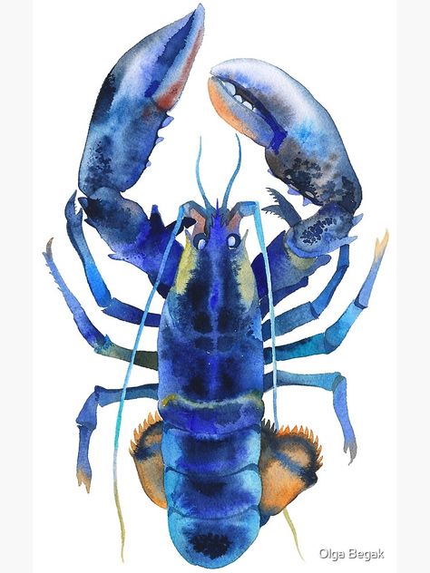 Blue Lobster, Pencil Watercolor, Graphic Design Collection, Sea Creature, Sea Food, Watercolor Techniques, Animal Paintings, Sea Creatures, Watercolor Print