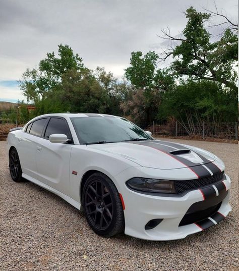 2006 Dodge Charger Rt, 2006 Dodge Charger, 2013 Dodge Charger, Rally Stripes, Dodge Charger Rt, Dodge Charger Srt, Charger Rt, Charger Srt, Scat Pack