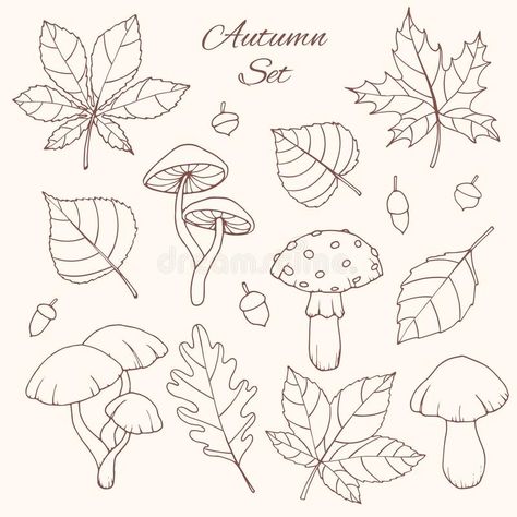 Acorn Drawing, Horse Chestnut Leaves, Autumn Doodles, Fall Drawings, Horse Chestnut, Leaf Drawing, Mushroom Art, Hand Drawn Vector, Free Vector Art