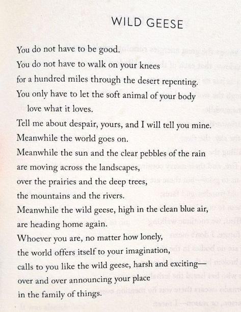 Mary Oliver Mary Oliver Quotes, Mary Oliver Poems, Meaningful Poems, Prose Poetry, Poetic Words, Books Poetry, Nice Words, Writing Therapy, Poems And Quotes