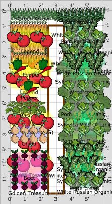 This is a great website to design your garden. You can set your location and it will show you how much space each plant needs and give you reminders. Tomato Guild, Edible Forest, Green Witchery, Garden Plot, Garden Plots, Community Garden, Garden Veggies, Veg Garden, School Garden