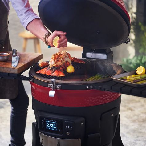 Charcoal Grill Smoker, Kamado Grills, Fire Pit Cooking, Charcoal Smoker, Ceramic Grill, Kamado Grill, Cooking App, Kamado Joe, Charcoal Bbq