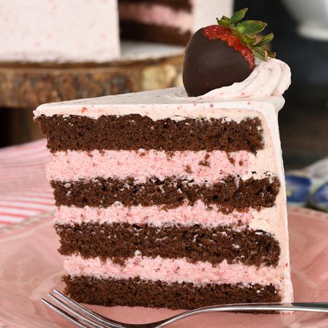 Chocolate Cake with Strawberry Mousse FIlling - Baking Sense® Chocolate Kahlua Cake, Mousse Cake Filling, Strawberry Mousse Filling, Strawberry Mousse Cake, Kahlua Cake, Chocolate Fruit Cake, Slab Cake, Strawberry Cake Filling, Strawberry Buttercream Frosting