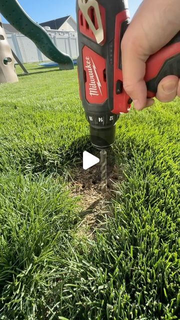 Jimmy Lewis on Instagram: "Easy bare spot fix.   #lawnrepair #lawncare #grassseed  #cherisheachmowment" Fescue Grass Lawn, Lawn Care Diy, Lawn Vacuum, Lawn Repair, Fescue Grass, Homeowner Tips, Planting Grass, Plant Bugs, Landscape Curbing