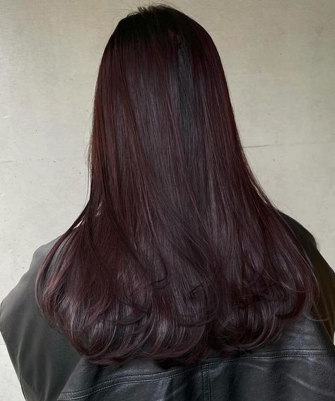 Darkest Mahogany Brown Hair, Red Cherry Highlights, Black And Wine Red Hair, Dark Red Chocolate Hair, Maroon Balayage On Black Hair, Cherry Black Hair Color Burgundy, Deep Burgundy Brown Hair, Black Cherry Cola Hair Color, Grape Soda Hair