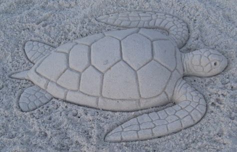 Turtle Sand Sculpture, Sea Turtle Sand Sculpture, Easy Sand Art Beach, Beach Sand Art Sculpture Easy, Sand Sculpture Ideas Easy, Sand Turtle, Beach Sculpture Ideas, Sand Sculptures Easy, Beach Sand Art Easy