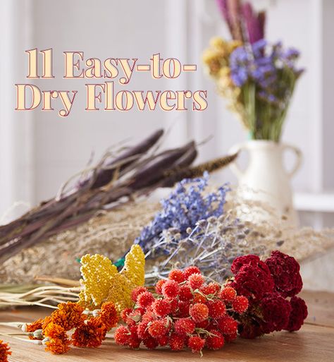 Flowers For Drying Best, Flowers That Dry Well, Best Flowers For Drying, Best Flowers To Dry, Herbal Crafts, Amaranth Flower, Drying Flowers, Flower Garden Plans, Dried Flowers Diy