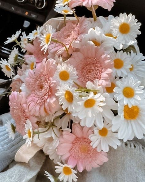 Pretty Flowers Pictures, Flower Boquet, Luxury Flower Bouquets, Prettiest Bouquet, Daisy Bouquet, Boquette Flowers, Flowers Bouquet Gift, Nothing But Flowers, Flower Therapy