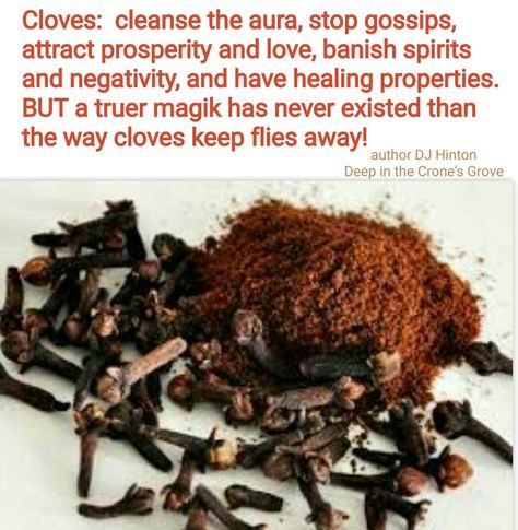 Cloves Remedies For Tooth Ache, Decrease Appetite, Teething Remedies, Magickal Herbs, Sistem Pencernaan, Witch Herbs, Natural Teething Remedies, Sandalwood Fragrance, Magic Herbs