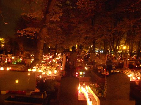 All Saints Day in Poland Travel Poland, Polish Traditions, All Souls Day, All Saints Day, Urban Nature, Kings Day, My Heritage, Perfect World, Samhain