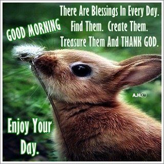 Happy Easter Messages, Happy Easter Greetings, Easter Messages, Funny Rabbit, Bunny Mom, Happy Easter Wishes, Slaap Lekker, Holiday Images, Easter Blessings