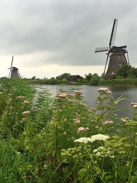 Countryside Photos, Dutch Countryside, Dutch Netherlands, Viking Cruises Rivers, Painting References, Blond Amsterdam, Netherlands Travel, Dream Travel Destinations, Travel Aesthetic