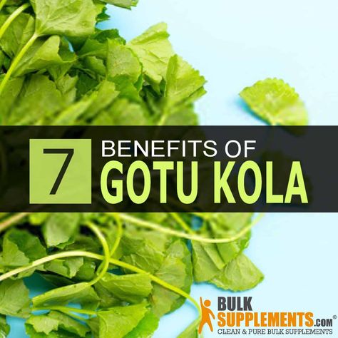 Gotu Kola Benefits, Benefits Of Vitamin A, Herbal Tonic, Health Tonic, Herbal Salves, Plant Benefits, Herbal Plants, Gotu Kola, Herbs For Health