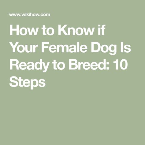 How to Know if Your Female Dog Is Ready to Breed: 10 Steps Breeding Dogs, Veterinary Surgery, Pet Clinic, Purebred Dogs, Things Under A Microscope, Dog Hacks, Boy Dog, American Kennel Club, Dog Breeder