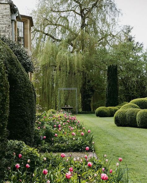 Formal Garden, Weeping Willow, Big Garden, Italian Garden, Formal Gardens, Garden Oasis, House Garden, Green Garden, Lush Green