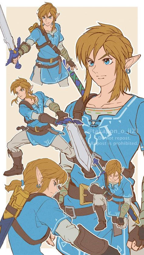 Link Poses, Oot Link, Botw Link, Legend Of Zelda Characters, Zelda Fanart, Legend Of Zelda Art, Link And Zelda, Zelda And Link, Skins Minecraft