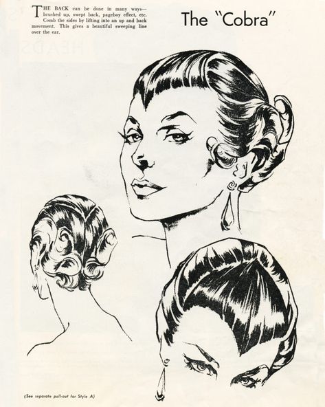 The Cobra Hairstyle circa 1957...bangs with a bite - Bobby Pin Blog / Vintage hair and makeup tips and tutorials The Cobra Hairstyle, Vintage Hair Illustration, Goth Hairstyles Drawing, Psychobilly Hairstyles, Goth Hair Drawing Reference, Cobra Bangs, Drawing Bangs Hairstyles, Victorian Goth Hair, Cobra Hairstyle