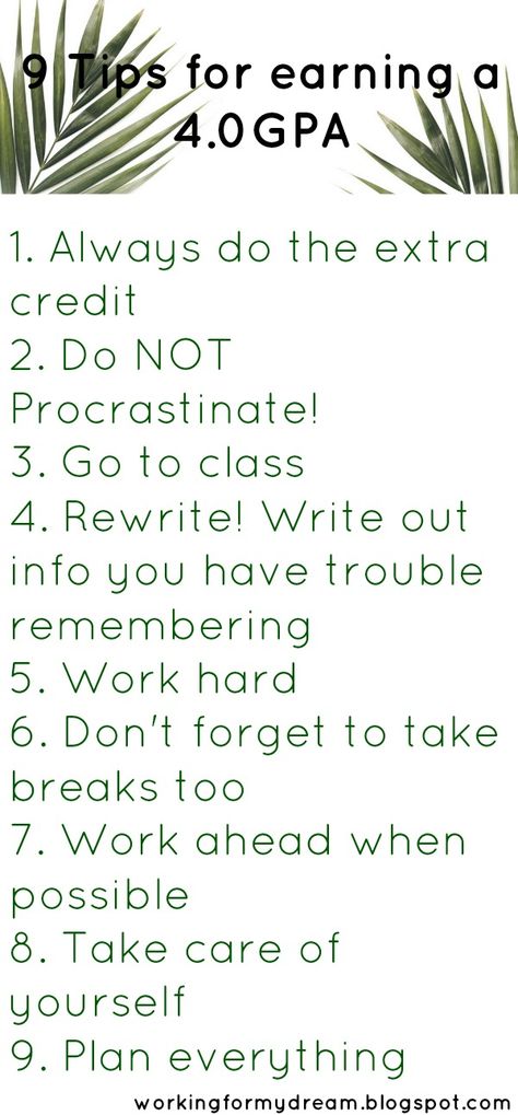 How I earned a 4.0 my first semester. #college #4.0 University Quotes, University Ideas, Nursing School Organization, College Teaching, English Education, Cheese Trays, Education University, Catering Display, Math Education