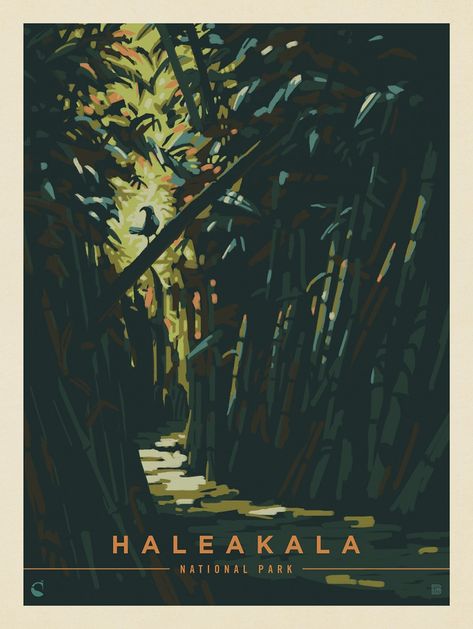 Haleakala National Park: Tropical Shade | Anderson Design Group