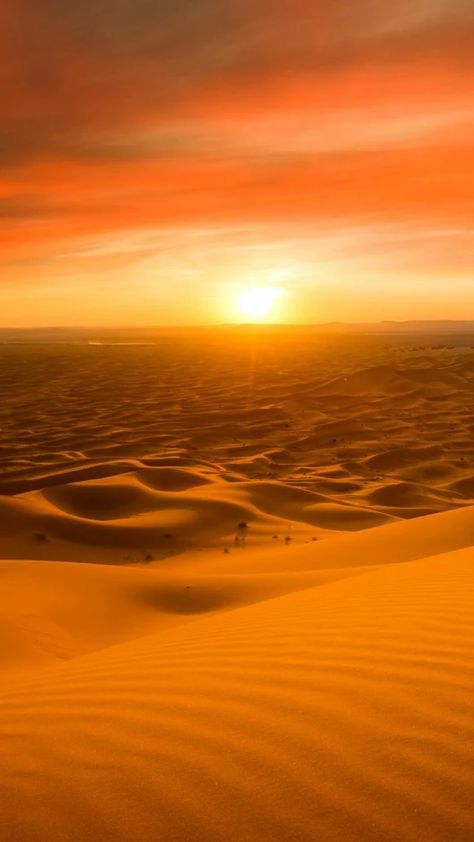 Padang Pasir Aesthetic, Iphone Wallpaper Orange, Desert Sand Dunes, Desert Sunrise, Desert Aesthetic, Deserts Of The World, Dubai Desert, Desert Oasis, Orange Sky