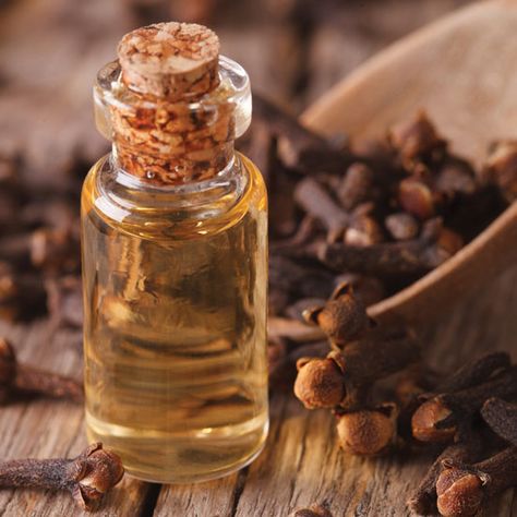 8 Household Uses for Cloves Remedies For Tooth Ache, Natural Mouthwash, Mother Earth Living, Tooth Pain, Oral Care Routine, Oral Health Care, Tooth Decay, Health Advice, Oral Hygiene