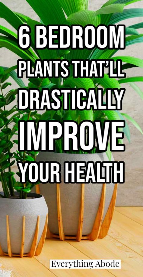 https://pin.it/7DHzah7qr Inside House Plants, Best Bedroom Plants, Plants For Bedroom, Best Plants For Bedroom, Diy Pallet Furniture Bedroom, Household Plants, Plant Care Houseplant, Inside Plants, Growing Plants Indoors