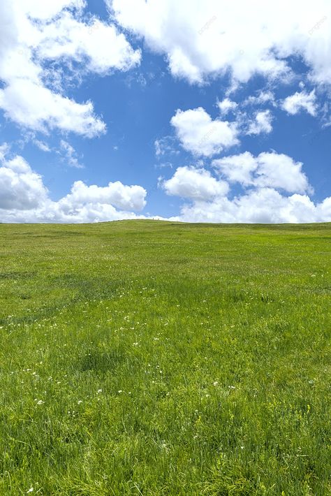 Grassland Landscape, Grassy Background, Tropical Grassland, Nature Background Aesthetic, Summer Landscape Photography, Morning Background, Grassland Aesthetic, Grass Landscape, Field Background