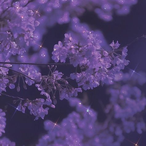 Wallpaper Aesthetic For Iphone, Witch Aesthetic, Wallpaper Aesthetic, Witch, Lavender, Iphone, Purple, Flowers