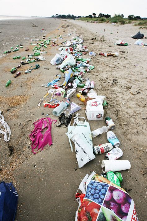 Plastic On The Beach, Dublin Beach, Beat The Plastic Pollution Poster, River Pollution, Beach Pollution, Beat Plastic Pollution, Marine Debris, The Burrow, Uk Beaches