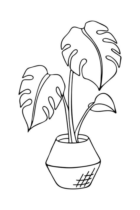 Doodle of monstera deliciosa in pot. Hand drawn vector illustration of indoor plant isolated on white background. Simple Potted Plant Drawing, Monstera Drawn Simple, Monstera Plant Drawing Simple, Monstera Drawn, Potted Plant Doodles, Monstera Plant Sketch, Monstera Deliciosa Drawing, Monstera Doodle, Potted Plant Drawing