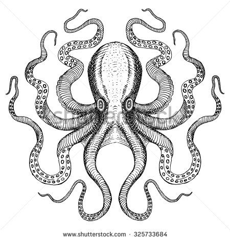 Monster Octopus, Octopus Drawing, Octopus Illustration, Monster Wall, Octopus Tattoo Design, Octopus Tattoos, Tattoos Mandala, Octopus Design, Tattoos Geometric