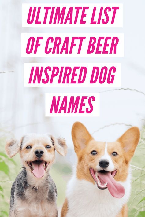 Craft Beer Inspired Dog Names - The Ultimate List. List of over 150 name ideas for your next dog. Boy Dog Names, Beer Names, Beer Hops, Types Of Beer, Dog Beer, Beer Quotes, Beer Theme, Puppy Names, Name Ideas