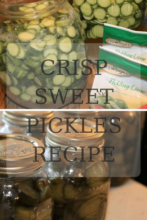 Cucumber Crisp Sweet Pickles Recipe Canning and Preserves - Shabby Chic Boho How To Make Sweet Pickles From Cucumbers, Lime Sweet Pickles, Homemade Sweet Pickles Recipe, Sweet Lime Pickles Recipe, Recipes Using English Cucumbers, Sweet Pickles Homemade Canning, Canned Sweet Pickles Recipe, Sweet Pickles Homemade Easy, Sweet Pickle Recipes