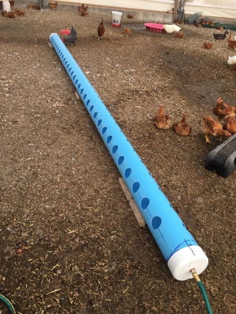 Chicken Waterer Ideas, Mango Craft, Pvc Chicken Waterer, Chicken Watering System, Chicken Waterer Diy, Poultry Farm Design, Chicken Coop Pallets, Chicken Flock, Farming Ideas