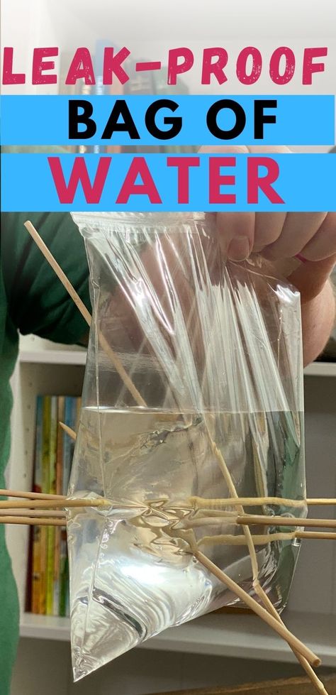 A plastic bag filled with water will not leak even when sharp skewers are poked through it. Cool Science Experiments For Kids, Fun Experiments For Kids, Cool Science Projects, Homeschool Science Experiments, Balloon Experiment, Science Experiment For Kids, Cool Science, Experiment For Kids, Cool Experiments