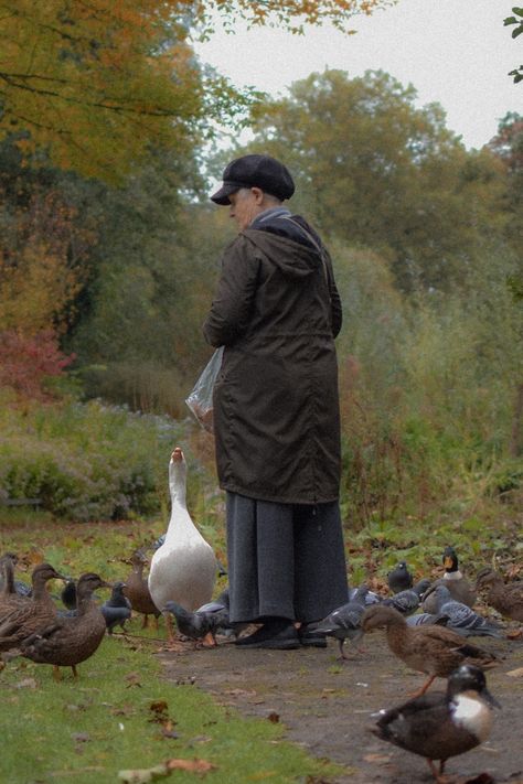 Woman feeding ducks in Vondelpark, Amsterdam. #aesthetic #vintage #amsterdam #theNetherlands #nature Feeding Ducks Aesthetic, Vondelpark Amsterdam, Feeding Ducks, Amsterdam Aesthetic, Old Woman, Art Styles, Aesthetic Vintage, Ducks, Fashion Art