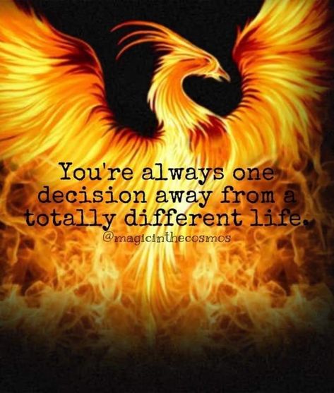 Phoenix Quotes, Phoenix Artwork, Phoenix Images, Animal Tattoo Ideas, Energy Healing Spirituality, Awakening Quotes, Abraham Hicks Quotes, Fire Bird, Warrior Quotes