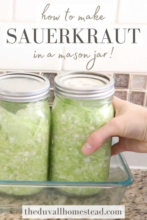 Canning Sauerkraut In Jars, Small Batch Sauerkraut, Saurkraut Recipes Mason Jar, Sauerkraut In A Jar, How To Make Sauerkraut In A Jar, Mason Jar Sauerkraut, Canning Sauerkraut Recipes Mason Jars, How To Make Sour Kraut In Jars, Making Sour Kraut In Jars