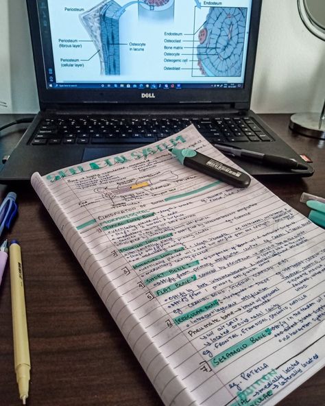 Medical Student Notes Aesthetic, First Year Medical Student, Skeletal System Notes Aesthetic, Med School Notes, Bottle Fairy Lights, Aesthetic Studying, Notes School, Notes Inspo, Study Aesthetics