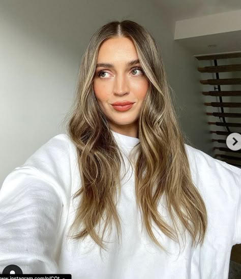 Allana Davison, Doing My Hair, Hair Goal, Bronze Hair, Bronde Hair, Brunette Hair With Highlights, Hair Things, Brunette Balayage Hair, Dark Blonde Hair