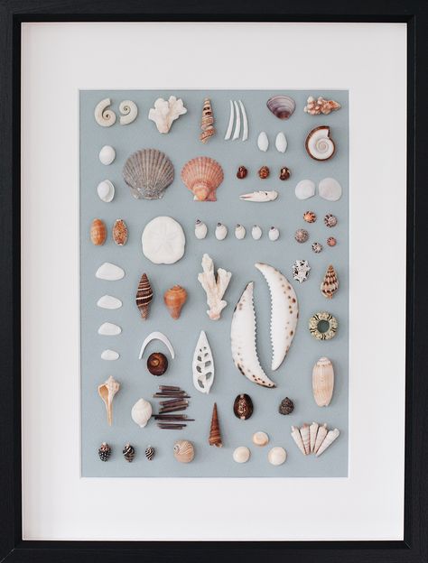 Shell Wall Hanging, Diy With Kids, Seashell Art Diy, Seashell Wall Art, Seashell Projects, Art Coquillage, Shell Crafts Diy, Shell Decor, Sea Glass Crafts