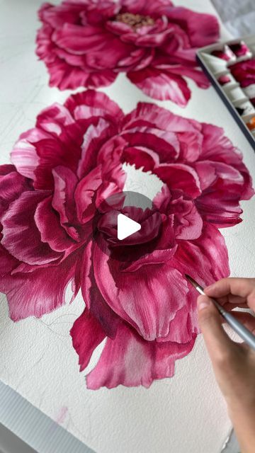 18 likes, 1 comments - oksanamioart on May 4, 2024: "Giant peonies in progress 🌸🥰". Peony Watercolor Painting, Peony Watercolor, Painting Flowers, Watercolor Flowers, Watercolor Painting, Flower Painting, Peonies, Flowers, On Instagram