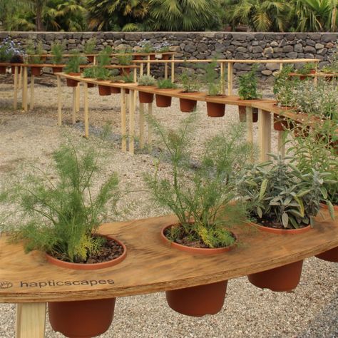 Sensory Landscapes by x-studio – mooool Garden Sensory, Urban Community, Etna Volcano, Pocket Park, Sensory Garden, Aromatic Plant, Landscape Elements, Mediterranean Garden, Melting Pot