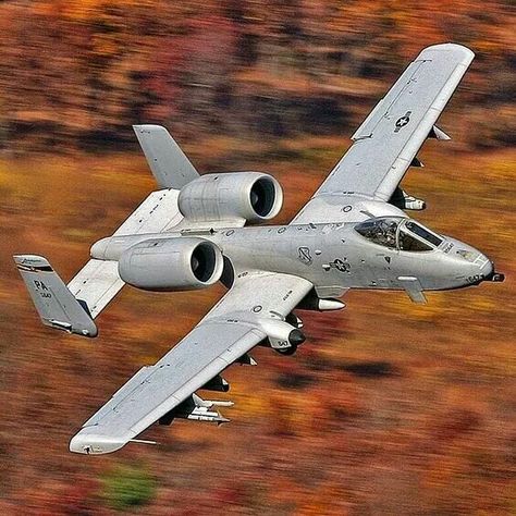 Fairchild A-10 Thunderbolt II ("Warthog") A10 Warthog, A 10 Warthog, Us Military Aircraft, Airplane Fighter, Military Airplane, Air Fighter, Military Jets, Harbin, Jet Aircraft